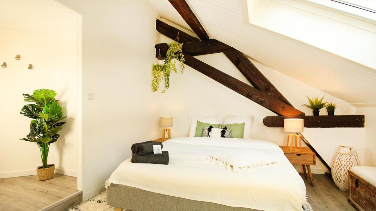 Homey Bella - New / Duplex / Downtown / Close Geneva Аннемас Экстерьер фото